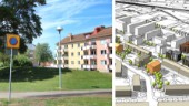 Stångåstaden vill bygga 100 lägenheter i Vasastaden