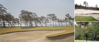 Här är nyheterna på Gotlands fem största golfbanor 