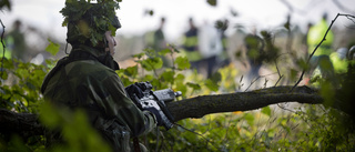 Försvarsdirektören är inte främmande för en Natobas på Gotland