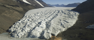 Oron växer för klimatförändring i Antarktis