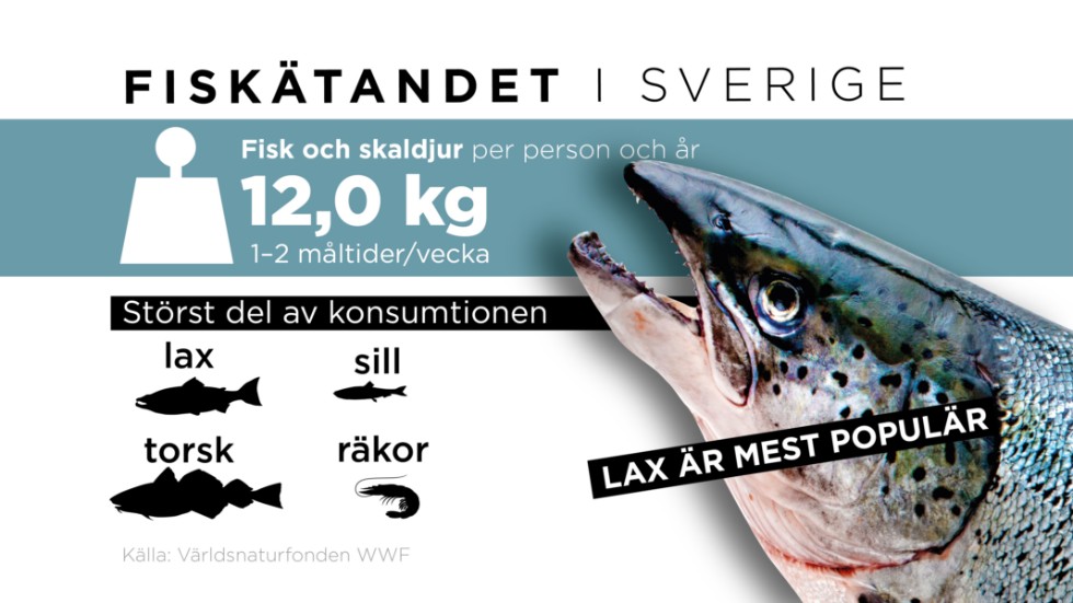 Svenskarna äter i genomsnitt 12 kilo fisk och skaldjur per person och år.