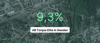 AB Torque Elite In Sweden redovisar marginal som slår branschsnittet
