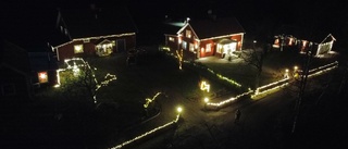 Titta, här är det äkta julstämning – hela trädgården lyser upp