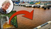 Hamnvattnet färgades plötsligt brunt – ofarligt enligt regionen