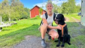 Rekordmästerskap för hundtävlingen i Godegård