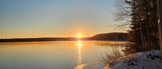 Läsarbild: Kring stugan i Vettasjärvi