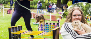 Sötchock i Stadsparken när kaniner hoppade högt