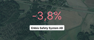 Så gick det för Erkkis Safety System AB 2022