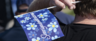 Sverigedemokraterna i Sörmland behöver visa sina kort