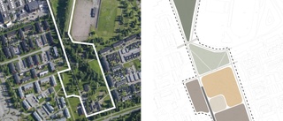 PLANEN: 60 radhus byggs på Anderstorps grönytor