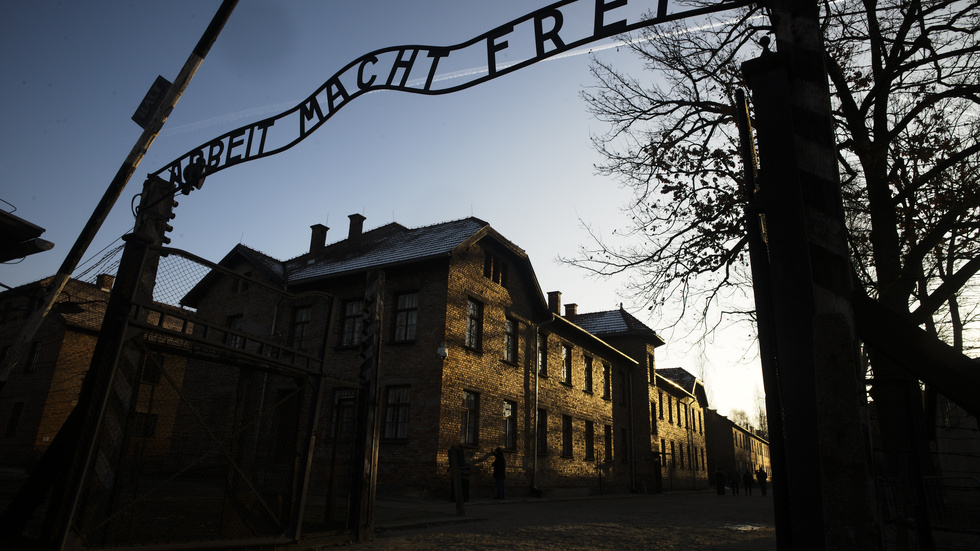 ”Datumet för minnesdagen kommer sig av att det var den 27 januari 1945 som Röda armén befriade Auschwitz, ett av de koncentrationsläger som blivit symbolen för världshistoriens största folkmord.”