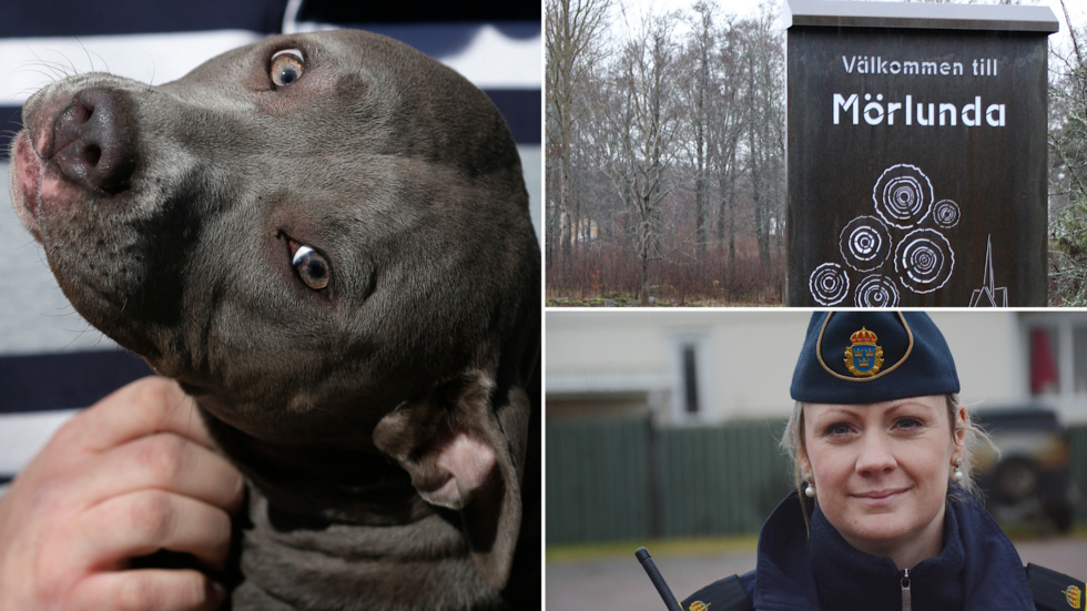 Under fredagen hittades en hund i Mörlunda. Polisen söker nu efter uppgifter till personen som har haft hand om hunden. Bild på hunden finns på polisen i Oskarshamns Facebooksida. Hunden på bild är inte den aktuella hunden. 