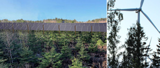 Vindkraftsbolaget som vill bygga solcellsparker