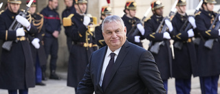 Orbán: Stöttar Sveriges Natoansökan