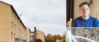 Stor ökning av klotter i Boxholm