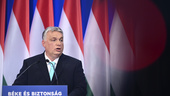 Sverige får inte lägga sig platt för Ungern