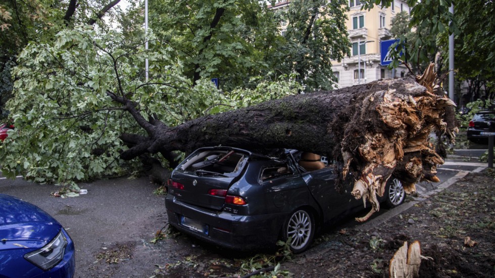 När Milano drabbades av en kraftig storm blockerades många gator av nedfallna träd. Bild från i måndags.