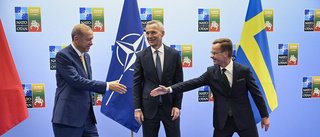 Kristersson manar till "is i magen" om Nato