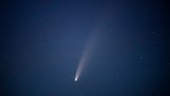 Passa på att se den ovanliga kometen Neowise