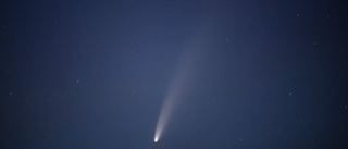 Passa på att se den ovanliga kometen Neowise