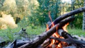 Extremt torrt i skog och mark – eldningsförbud införs