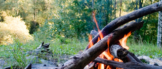 Extremt torrt i skog och mark – eldningsförbud införs