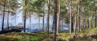 Brand i torr skogsterräng tog sig på nytt