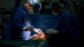 Svensk metod underlättar hjärttransplantationer