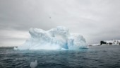 Antarktis inte längre virusfritt