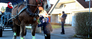 Hästen Tiffany hjälpte tomten att dela ut julklappar