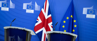 Brexitavtal rättvist och balanserat enligt EU