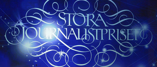 Journalistpris till Estoniaserie får kritik