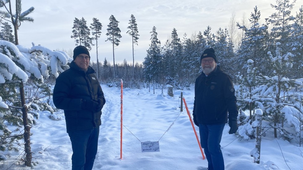 Mats Jacobsson och Ove Olsson vid Hälsans Stig som är ett promenadstråk i skogen med information om djur och växtliv.