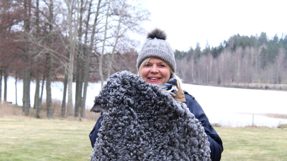 Gudrun Svensson från Orremåla är svensk mästare i fårskinn, genom en tävling som arrangeras av Gotlandsfårföreningen. Här visar hon upp det skinn som hon 2018 vann publikens utmärkelse med.