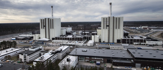 Läckande ventil orsakade stopp på kärnkraftsreaktor