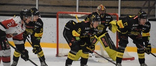 Betygen: De spelarna var bäst i Vimmerby Hockey
