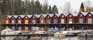 Sjöbodarna i Råneå ska nu utredas – kommunen gör ett tillsynsbesök