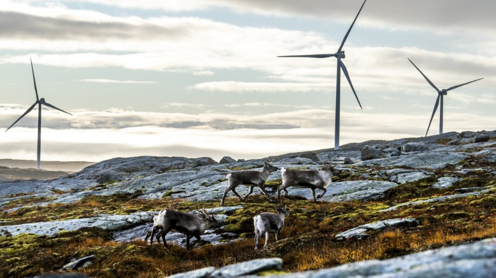 Vindkraftsindustrier har fram tills nu i regel byggts i glest befolkad landsbygd och det är svårt att få statistiskt säkerställda data om mekanismer av orsakssamband, skriver fyra representanter för hälsogruppen i Rättvida vindar Norra Östergötland.