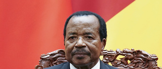 Första samtalen om eldupphör i Kamerun