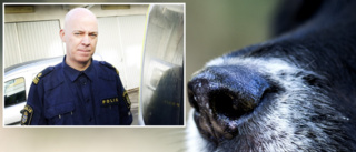 Rykten om "giftfällor" för hundar sprids på Facebook – inga anmälningar hos polisen