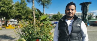 Fler utrikesfödda utan jobb - Ammar: ”Söker hela tiden”