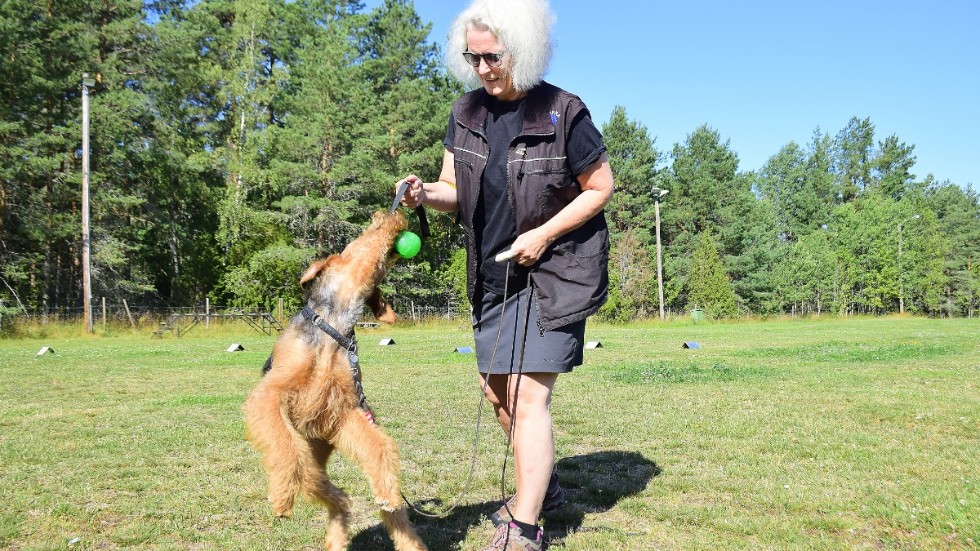 Monica Olsson, ordförande i Vimmerby Brukshundsklubb med hunden Gretchen ser fram emot att träffa andra hundägare vid Hundens vecka i Vimmerby. "Vi har haft arrangemang övriga år också men det här gången provar vi att göra det lite mer publikt så får vi väl utvärdera och se vad det landar i", säger hon.