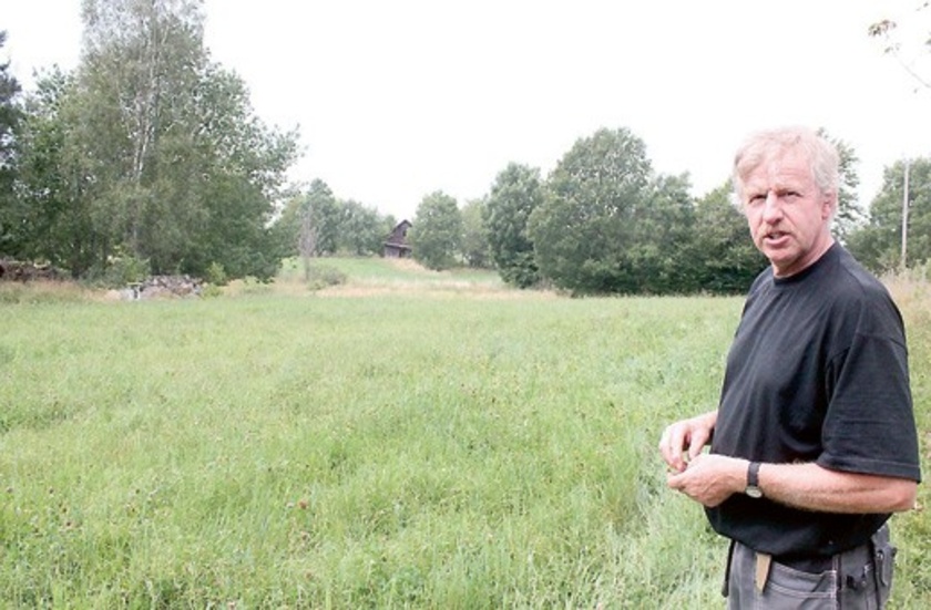 På markerna som Bernt Jonsson arrenderar finns det mängder av vildsvin. I förra veckan hittade han en död kulting på en havreåker.