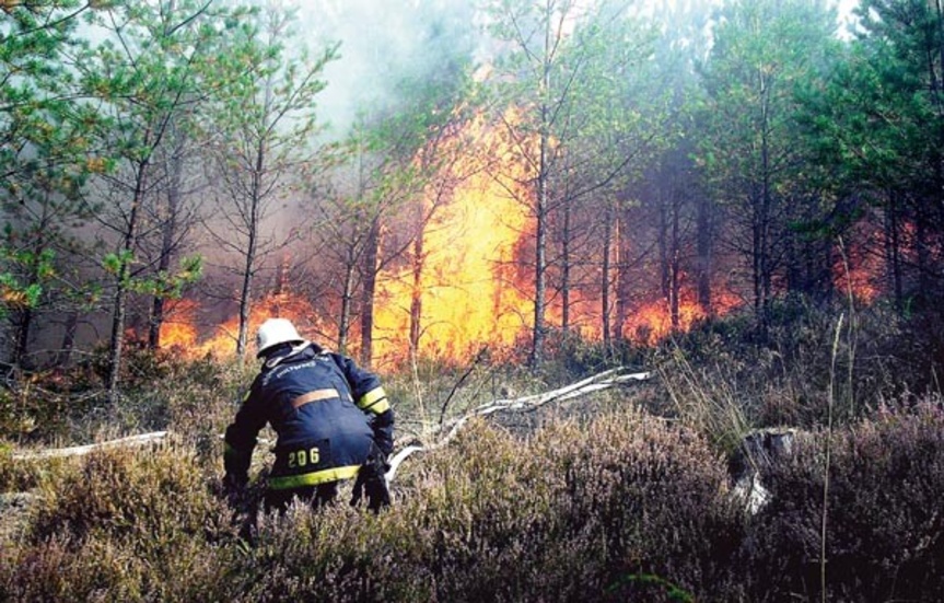 Det brann våldsamt i ungskogen när räddningstjänsten kom fram. Branden spred sig snabbt och innan man fått kontroll på läget hade 400 gånger 300 meter bränts av.