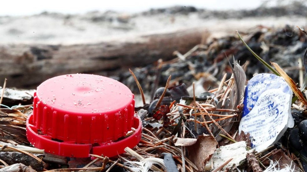 Engångsartiklar av plast används ofta bara en kort stund, men stannar kvar i evigheter när de hamnar i naturen och våra hav.