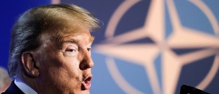Bo Pellnäs: Nato – närvaro och trovärdighet