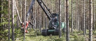 Jonatan Lönnqvist: Hur mycket skog ska skyddas?