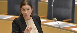 Birgitta Ohlsson lämnar politiken