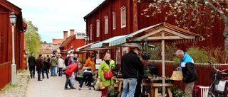 Omtyckt marknad i Gamla Linköping tillbaka – efter två års uppehåll