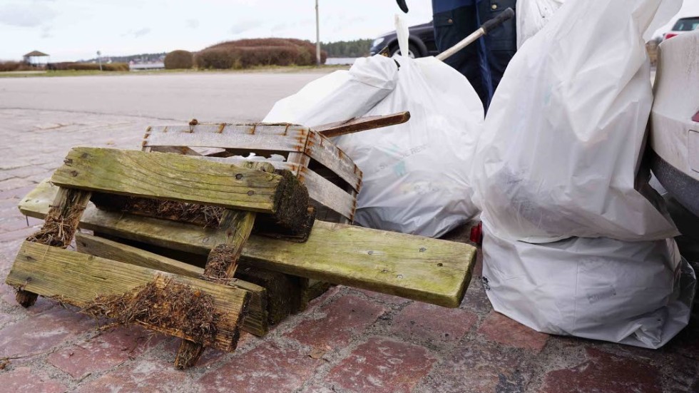 Dagens skörd. Sopsäckar med plastavfall och trasiga lastpallar.